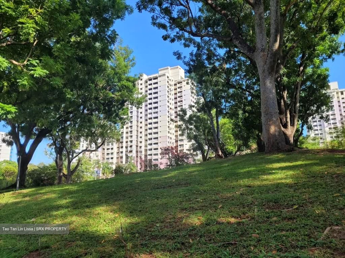 Blk 35 Rumah Tinggi View (Bukit Merah), HDB 5 Rooms #531098741